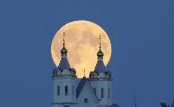大脑地图常熟世茂中心