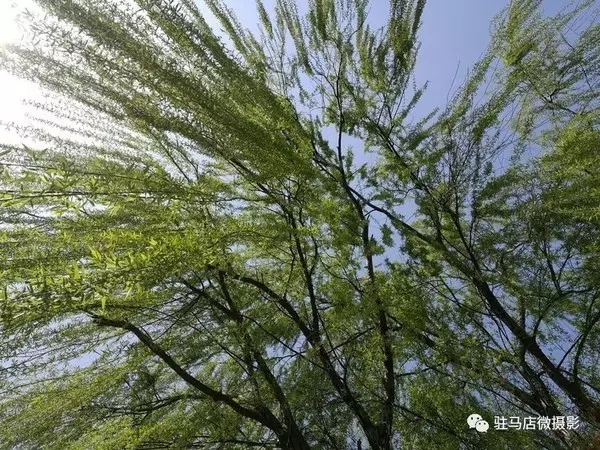大脑地图常熟港澳城中心 大脑地图常熟港澳城中心